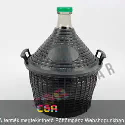 25L-es üveg demizson műanyag burkolattal